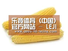 产品名称五