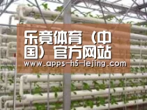 环境展示六
