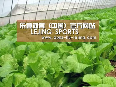 种植基地一
