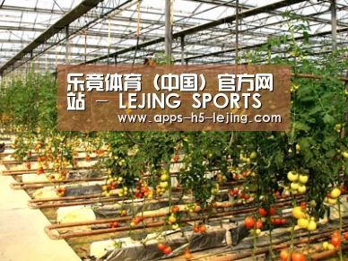 种植基地二(图1)