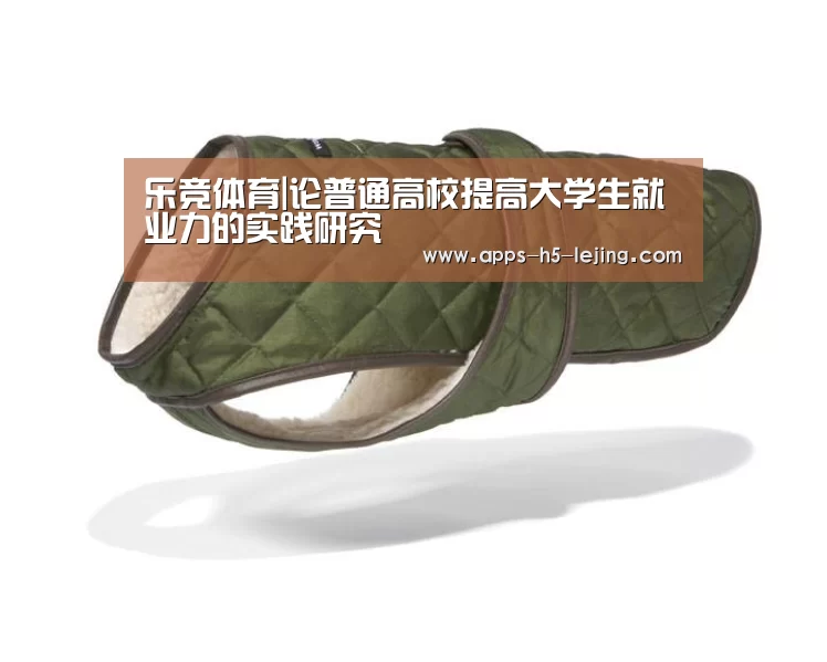 乐竞体育|论普通高校提高大学生就业力的实践研究(图2) 乐竞体育官网