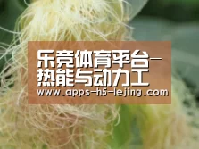 乐竞体育平台-热能与动力工程在工业领域应用和发展探讨(图2) 乐竞体育平台