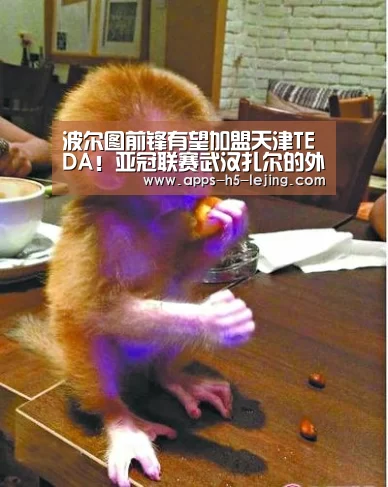 乐竞体育平台